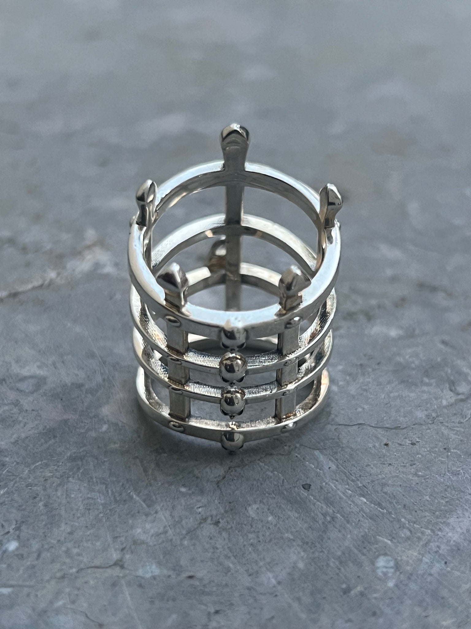 Cage of Demise Ring Saint Terror 